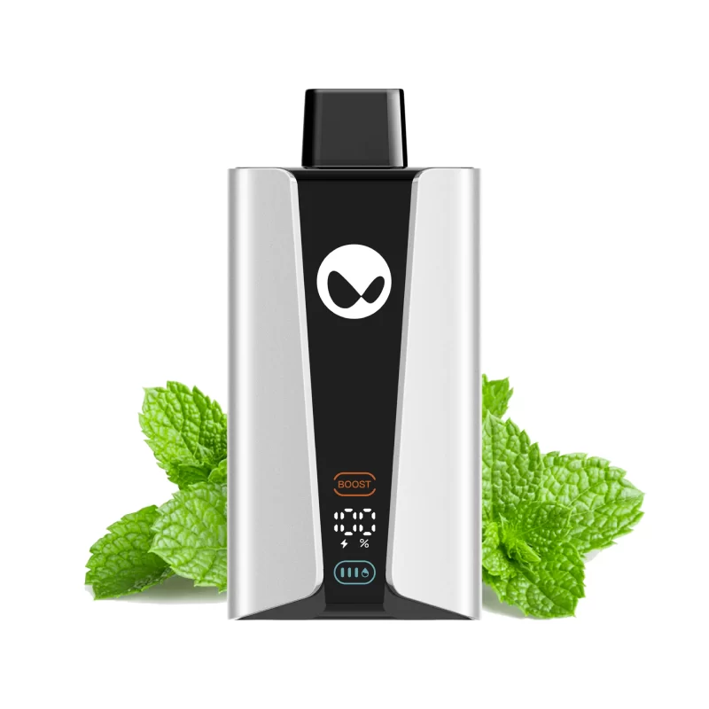 Fresh Mint