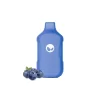 Blueberry Splash