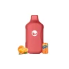 Marrakech Orange Soda