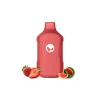 Strawberry Watermelon
