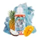 Ananas Fruits Exotiques 100ml Frozen Beast by Secret's Lab